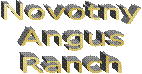 Novotny
Angus
Ranch